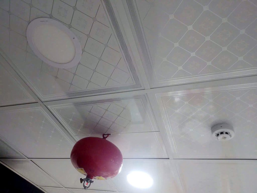 Checking an automatic fire-extinguishing ball and smoke detector